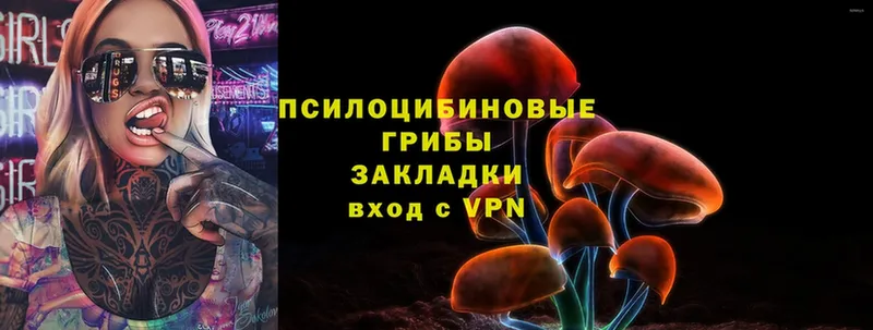 Псилоцибиновые грибы Magic Shrooms  OMG рабочий сайт  Нижняя Тура 